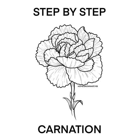 Kaily Wilson on Instagram: "STEP BY STEP CARNATION A first for carnation tutorials on this page, but I had so much fun doing it. Today is the final tutorial of the week long - 100k partay 🥳. I’ll be taking tomorrow (Wednesday tutorial) off to recover a bit, and I’ll be back with you Friday for the next one! I hope you were able to take something away from this past week, thank you so much for being here. I wouldn’t be able to do what I do without you 🙂 ❤️Kaily" Carnation Flower Tattoo Stencil, Easy Carnation Drawing, How To Draw A Carnation Step By Step, Draw Carnation Flower, How To Draw Carnations, How To Draw A Carnation, Carnation Flower Outline, Carnation Line Drawing, Carnation Drawing Simple