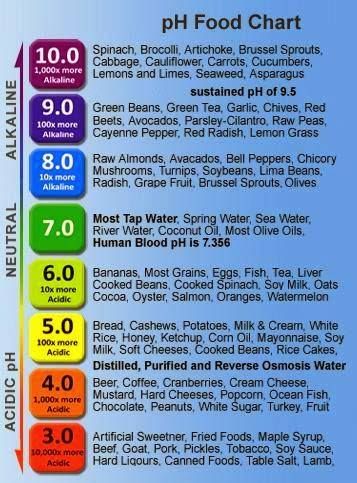 Where certain foods fall on the pH Spectrum Ph Food Chart, Ph Chart, Detox Diets, Food Chart, Nutrition Sportive, Food Charts, Alkaline Diet, Alkaline Foods, Acid Reflux