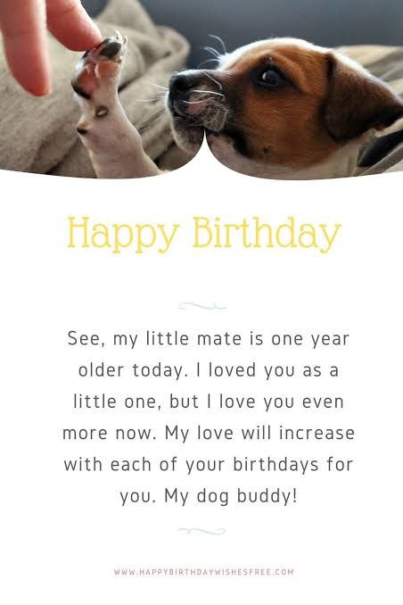 Dog Birthday Quotes, Cute Happy Birthday Quotes, Dog Birthday Wishes, Great Birthday Wishes, Happy Birthday Puppy, Nicknames For Friends, Happy Birthday Captions, Dogs Birthday, Happy Birthday Dog