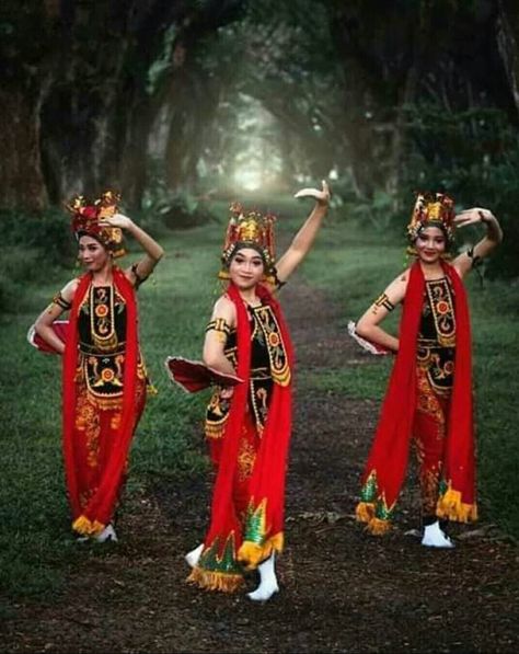 Baju Nari, East Java, Traditional Dance, Silk Road, Wallpaper Aesthetic, Dancer, Wonder Woman, Princess Zelda, Birthday