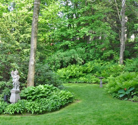 Ostrich Ferns, Sensitive Fern, Garden Ferns, Hillside Gardening, Growing Calendar, Christmas Fern, Outdoor Landscape Design, Lady Fern, Summer Planter