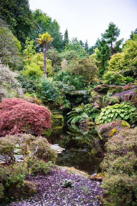 Garden of the week: Mount Stuart, Isle of Bute | HeraldScotland Scottish Gardens, Scotland Summer, Scottish Garden, 18th Century Landscape, Tropical Greenhouses, Isle Of Bute, Water Features In The Garden, David Austin, English Roses