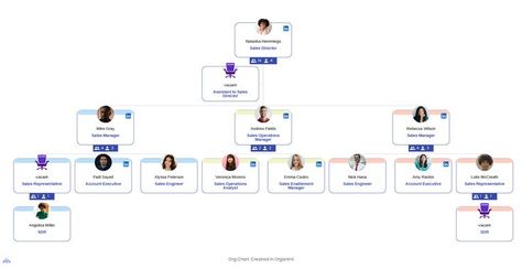 Sales Team Organizational Chart Structure Organizational Chart, Account Executive, Sales Representative, Sales Manager, Import Export, Accounting, The Unit, Design