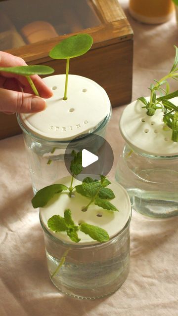 1.2M views · 34K likes | Søstrene Grene on Instagram: "Make your own propagation holders in clay and help the small cuttings on their way.
-
#propagationholder #clay #grenediy #sostrenegrene" Hygge Crafts, Eco Minimalism, Plant Holder Diy, Ceramics Diy, Diy Air Dry Clay, Diy Ceramic, Creative Gardening, Flower Holder, Plant Cuttings