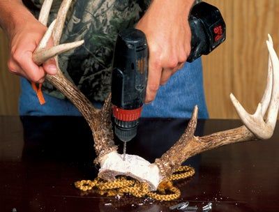 How to Mount Your Own Deer Antlers | Outdoor Life Deer Antlers Diy, Antler Mounts, Diy Antler, Diy Antlers, Deer Tracks, Antler Mount, Deer Antler Decor, Real Skull, Manly Stuff