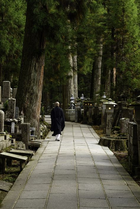 wanderlustjapan: “ Okunoin by Michael Laudij ” Japan Temple, Old Cemeteries, Wakayama, Morning Prayers, Cemetery, Garden Landscaping, Are You Happy, Zen, Tokyo