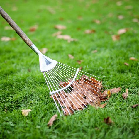 Best Gifts For Gardeners, Rake Head, Ash Leaf, Easy Hobbies, Dead Leaves, Digging Tools, Garden Rake, Eco Friendly Garden, Aesthetic Room Ideas