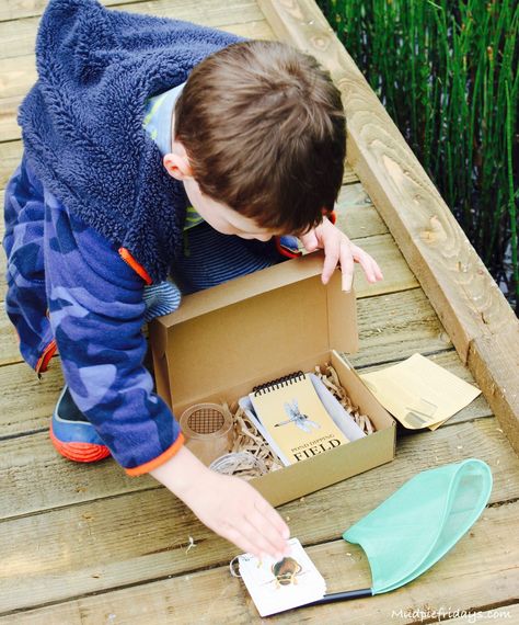 Pond Dipping, Country Park, Nature Reserve, Ecosystem, The Great Outdoors, Collage, Pins, Nature