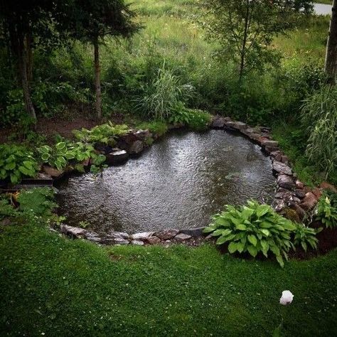 Backyard Ponds And Waterfalls, Kolam Koi, Backyard Ponds, Taman Air, Pond Garden, Garden Pond Design, Diy Pond, Small Pond, Pond Ideas