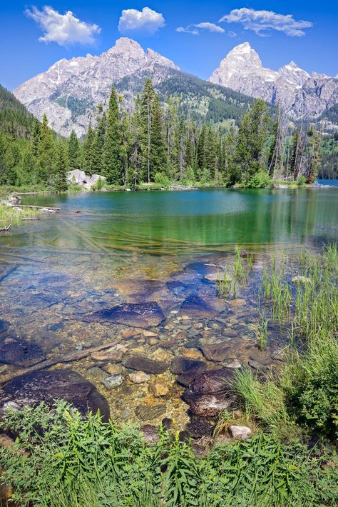 Taggart Lake, Grand Teton National Park, mountain reflections, Wyoming, offered by the original photographer. Sparkling clear mountain lake with lazy blue skies and deep greens. Beautiful mountain scenery available in fine art paper or canvas is sizes in from 8" x 10" to large triptych 3 panel 40"x90" canvas. Perfect for a variety of decor situations, including living, bedroom, dining, game room and office. Acrylic gloss gives optical depth to the image and creates a stunning view for your walls Natural Mountain Landscaping Ideas, Mountain Scenery Photography, Taggart Lake, Lake Images, Wyoming Landscape, Montana Landscape, Lake Reflection, Mountain Landscape Photography, Reflection Photos