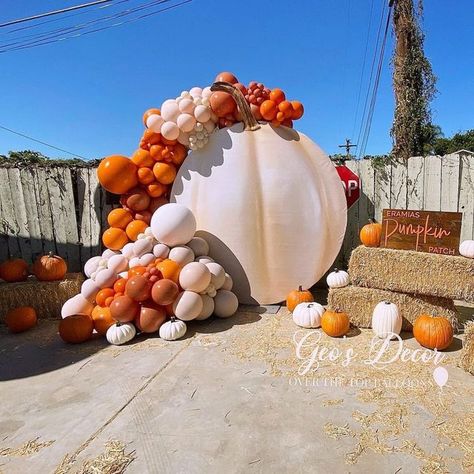 Over the top🎈by Geovana(CBA) on Instagram: "HELLO October!! 🎃 Very limited spots available for October. . . #pumpkinpatch #pumpkin #pumpkinbirthday#sandiegopumpkinpatch #halloweenballoons #qualatexballoons #tuftexballoons #sandiegoevents#partystyling #sandiegopartyplanner #sandiegopartydecor#sdparty #sandiego#sandiegoballoons #balloongarland#partytheme" Pumpkin Patch Party Ideas, Pumpkin Gender Reveal Decorations, Pumpkin Balloon Arch, Pumpkin Patch Baby Shower Ideas, Pumpkin Gender Reveal Ideas, Pumpkin Balloon Garland, Fall Balloon Arch, Fall Balloon Garland, Pumpkin Backdrop