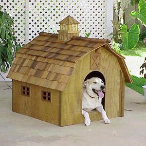 Barnplans [Blueprints, Gambrel Roof, Barns, Homes, Garage Workshops, Dormer Window, Cupola] Dogs House Ideas Outdoor, Dog Houses Indoor, Dog House Inside, Outside Dog Houses, Large Dog Beds, House Diy Ideas, Gambrel Barn, Build A Dog House, Owner Builder