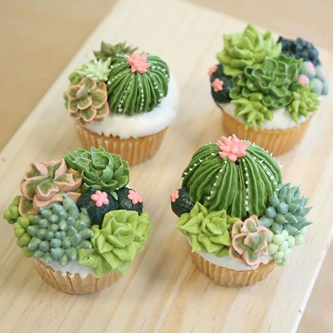 My dad is the #1 fan of #succulent #cupcakes . He calls me sometimes just to suggest that I sit outside of local plant nurseries, sell them and try to lure brides into my secret cupcake trap. Bravo @alijolliff  you've done it again! #cactus #droughttolerant #succulents #buttercream #greatdanebakery Cupcakes Pretty, Cupcakes Design, Cactus Cupcakes, Succulent Cupcakes, Ideas Cupcakes, Succulent Cake, Cactus Cake, Cupcake Designs, Buttercream Flowers