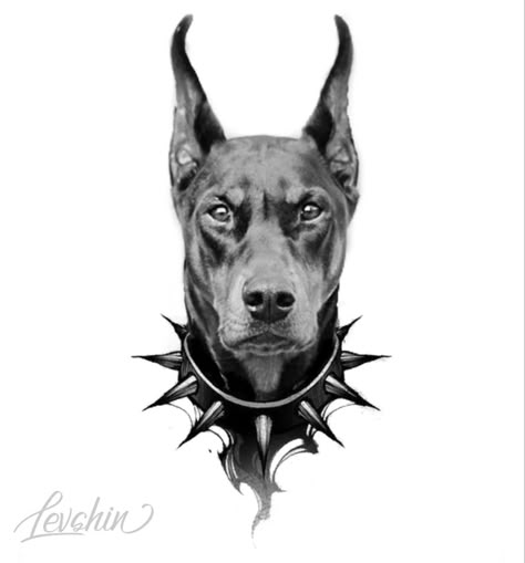 Realistic Doberman Tattoo, Doberman Reference, Angry Dog Tattoo, Doberman Pinscher Tattoo, Doberman Outline, Doberman Tattoo Ideas, Traditional Doberman Tattoo, Doberman Tattoo Design, Doberman Artwork