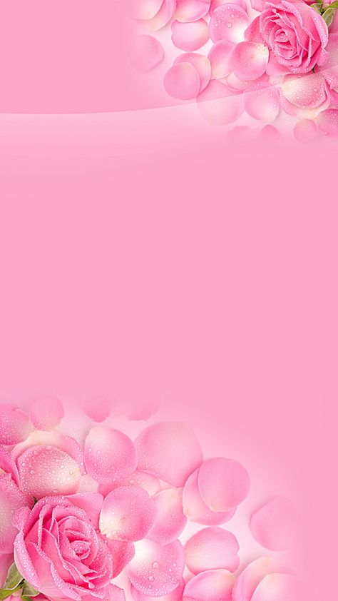 Fundo floral cor - de - Rosa H5, H5 Background, Flores, Pétalas, Imagem de fundo Background For Frame, Rose Flower Background, Pink Flower Background, Pink Floral Background, Pink Wallpaper Backgrounds, Rose Flower Wallpaper, Floral Border Design, Framed Wallpaper, Wallpaper Nature Flowers