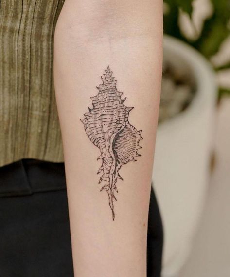 Whelk Shell Tattoo, Cool Ocean Tattoos, Murex Shell Tattoo, Ocean Sternum Tattoo, She’ll Tattoo, Conch Shell Tattoo, Sea Tattoos, Shell Tattoo, Earthy Tattoos