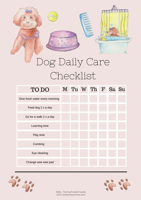 Dog Care Checklist, Puppy Schedule, Puppy Essentials, Dogs Poodle, New Puppy Checklist, Puppy Checklist, Puppy Things, Puppy Room, Puppies Tips