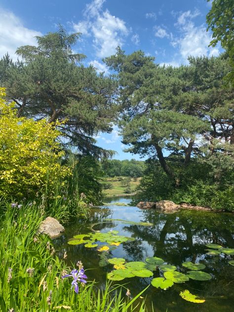 Lots of greenery. Tranquil pond with lily pads. Plants, wildlife, on a sunny day. Pond Wallpaper, Botanical Aesthetic, Chicago Park, Birthday Plans, Chicago Botanic Garden, Sensory Garden, Birthday Planning, Botanic Gardens, Botanic Garden