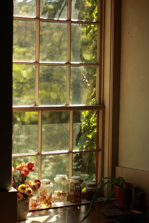 Straw Flowers & Chives in vinigar | Flickr - Photo Sharing! An Open Window, Beautiful Windows, Trondheim, Flowers Wallpaper, Window View, Celebrate Christmas, Through The Window, Open Window, Cheap Home Decor