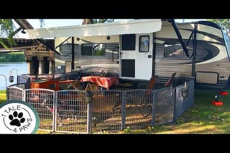 Rv Dog Fence, Rv Camping Organization, Rving Ideas Rv Camping, Rv Dog, Camping With Dogs, Trailer Renovation, Rv Camping Checklist, Pet Camping, Camping Safety