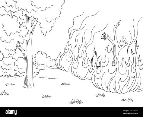 Wildfire Illustration, Forest Fire Drawing, Fire Drawing Easy, Fire Landscape, Fire Sketch, Drawing Flames, Forest Drawing, Fire Drawing, White Forest