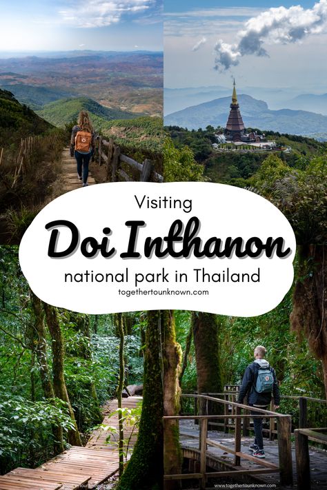 Doi Inthanon national park Thailand Doi Inthanon National Park, Mae Hong Son, Nature Trails, Northern Thailand, Nature Trail, Lovely Day, Chiang Mai, Asia Travel, Keep On