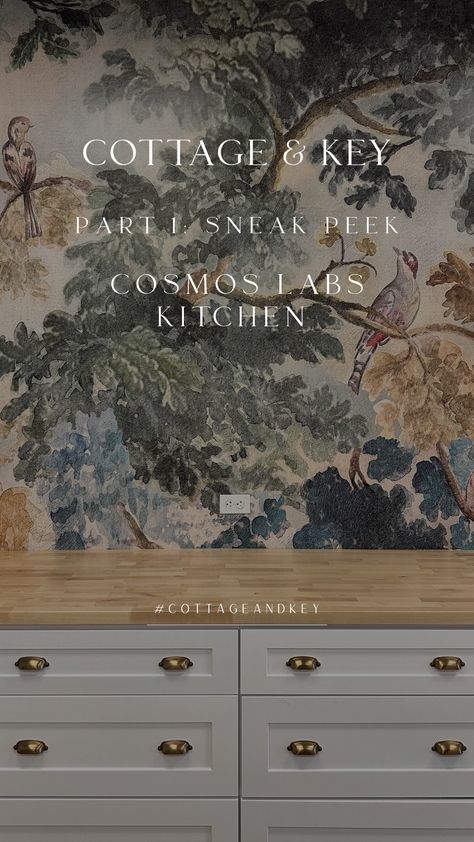 Jardin Mural Wallpaper project in an office space! Parisian Molding, Fun Mural, Parisian Interior Design, Parisian Interior, Wallpaper Project, Key Design, The Cosmos, But First, Built Ins