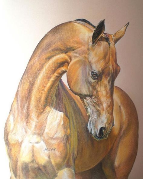 Ahal Teke, Equine Artwork, Akhal Teke Horses, Horse Sketch, Hyper Realistic Paintings, Akhal Teke, Horse Coloring Pages, Horse Artwork, Equestrian Art