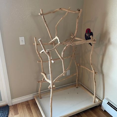 Hello Parrot Family! Custom made Small Parrot Stand by @ExoticDad father of 15 rescue parrots.I am now offering Small Parrot Stand - Perch (Strongest Wood). I look pretty excited to introduce this new size.😜 I can also increase size on request. I use the STRONGEST organic parrot wood available on the market. #exoticdad #birds #birdstagram #parrorts #perches #birdslover #birdsstand #birdsoutsidethecage#tabletop #parrorts #perches #birdsstand Diy Bird Stand, Bird Stands Diy Ideas, Pigeon Aviary, Bird Enclosure, Homemade Bird Toys, Parrot Play Stand, Conure Bird, Diy Bird Cage, Parrot Training