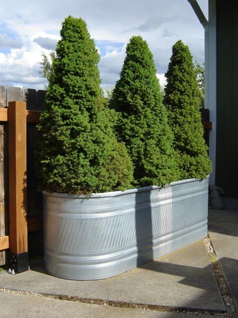 Very Cool Ways to Hack Galvanized Stock Tanks & Troughs Galvanized Stock Tank, Privacy Fence Landscaping, Large Backyard Landscaping, Small Pergola, Galvanized Tub, Privacy Fence Designs, Cheap Backyard, Landscaping Inspiration, Trough Planters