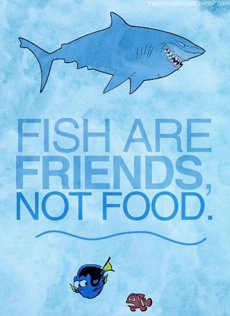 Fish are Friends NOT food Comedy Movie Quotes, Fish Are Friends Not Food, Pixar Quotes, Disney Movie Quotes, Quotes Disney, Finding Nemo, To Infinity And Beyond, Disney Quotes, Comedy Movies