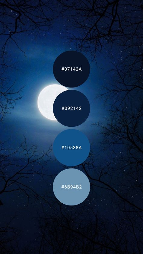 Blue Moon Color Palette, Deep Blue Colour Palette, Color Palette Midnight Blue, Dark Blue Colour Scheme, Nighttime Color Palette, Night Sky Color Palette, Midnight Blue Color Palette, Midnight Color Palette, Moon Color Palette