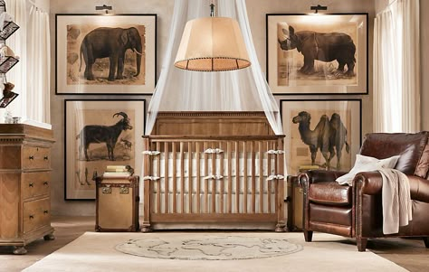 If I were to have a 5th grandson...not likely!  Nice theme that he/she could grow with. Safari Interior Design, Bold Nursery, Nursery Ideas Boy, Safari Room, Animal Baby Room, Restoration Hardware Baby, Room Boy, Dream Nursery, Cunas Para Bebes