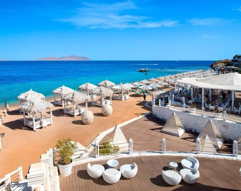 Sunrise Arabian Beach Resort, Sharm El Sheikh – Updated 2021 Prices Ocean View Living Room, Scrub Island, Sharm El Sheikh Egypt, Egypt Resorts, Marina Resort, Mini Bars, Sharm El Sheikh, Golden Beach, Pool Bar