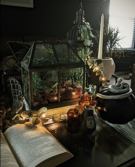 Gothic Terrarium Ideas, Witchy Dorm Room, Plant Witch Aesthetic, Cottage Goth Aesthetic, Dark Cottagecore Room, Witch Home Aesthetic, Goth Cottagecore Aesthetic, Witchy Aesthetic Decor, Moody Cottagecore