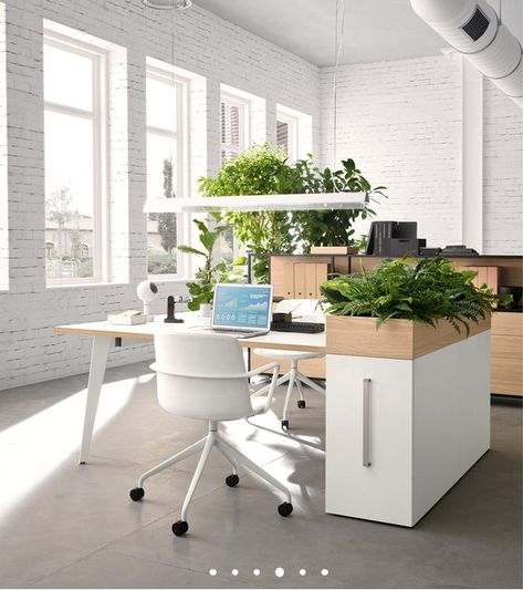 Pigreco is a highly innovative system that breaks away from convention, designed to interpret and experience the workplace in the best possible way, whether an executive, operational or meeting space. Office With Plants, Modern Office Design Inspiration, Open Office Design, Small Office Design Interior, Workstations Design, Innovative Office, Small Office Design, Open Space Office, Future Office