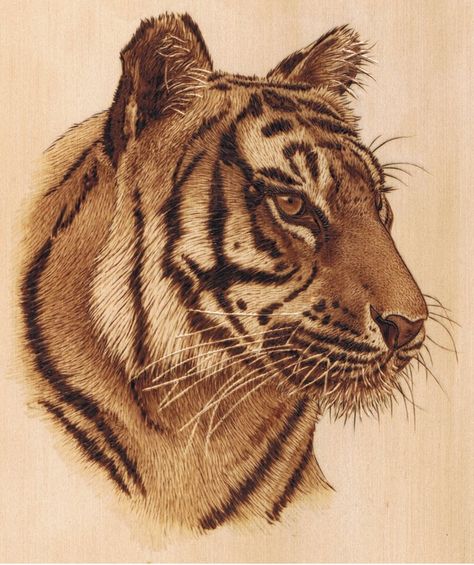 Beginner Wood Burning, Pyrography Designs, Wood Burning Patterns Stencil, Wood Burning Stencils, Wood Burn Designs, Pyrography Patterns, Wildlife Pictures, Woodburning Projects, Pyrography Art