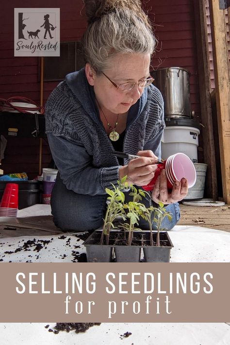 Yes, you can absolutely sell seedlings for profit! This article answers all the questions and gives you the inspiration you need to get started on this entrepreneural effort. If you enjoy gardening and growing your own food and you're looking for a side income, selling plants may be exactly what you should be doing! #sellplants How To Sell Plants Online, Self Seeding Plants, Cottage Foods To Sell, Selling Seedlings, Selling Plant Starts, Selling Plants At Farmers Market, Farm Products To Sell, Selling Plants, How To Start A Plant Business