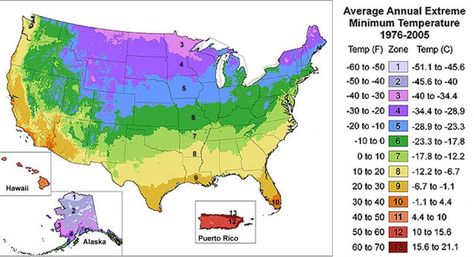 USDA Hardiness Map of the United States OSU Growing Zones Map, Gardening Zone Map, Planting Zones Map, Maps Design, Plant Hardiness Zone Map, Vertical Garden Design, Summer Flowers Garden, Hardiness Zones, Plant Zones