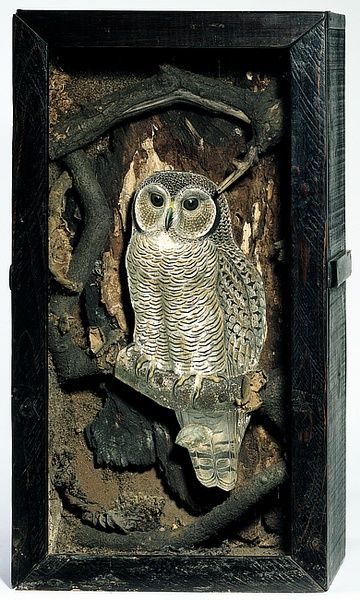 Joseph Cornell Boxes, Cornell Box, Owl Habitat, Box Assemblage, Joseph Cornell, Owl Box, Shadow Box Art, Found Art, Assemblage Art