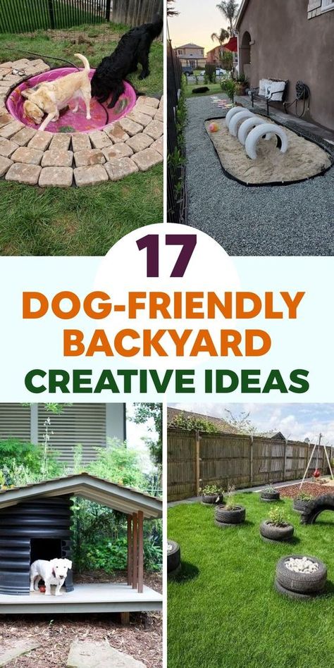 17 Dog-Friendly Backyard Ideas Dog Yard Ideas, Pet Friendly Backyard, Dog Park Ideas, Outdoor Dog Area, Dog Enrichment Ideas, Dog Daycare Business, Dog Play Area, Dog Friendly Garden, Dog Friendly Backyard