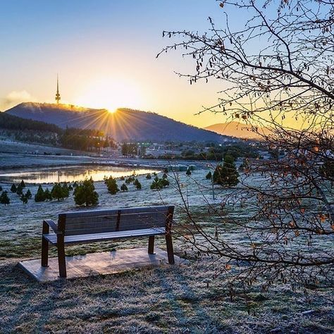 Care to take a seat? This stunning photo captured by  @carolelvin shows a "clear and crunchy" winter morning at the National Arboretum Canberra, which is home to almost 100 different collections of rare, endangered and symbolic trees from around Australia and the world. #visitcanberra #onegoodthingafteranother Australia Places To Visit, Australia Capital, Snow Travel, Australian Winter, Cold Christmas, Canberra Australia, Australian Capital Territory, Christmas Landscape, Great Ocean Road