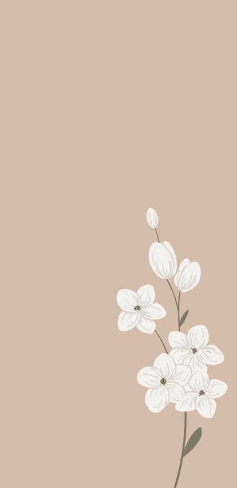 Creme Color Background Aesthetic, Nude Wallpapers Aesthetic Iphone, Neutral Color Wallpaper Iphone, Modern Phone Backgrounds, Nude Wallpapers Aesthetic, Neutral Colour Wallpaper Iphone, Nude Color Wallpaper, Background Wallpapers Aesthetic, Summer Prints Wallpaper