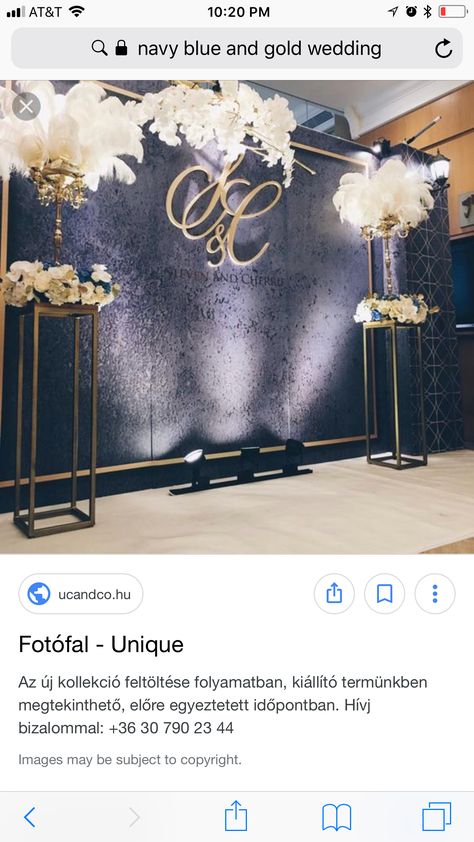 Black And Gold Backdrop Ideas Wedding, Navy Blue And Gold Wedding Backdrop, Indian Reception Dress, Navy Blue Backdrop, Navy Blue And Gold Wedding, Indian Reception, Coin Photo, Fun Wedding Decor, Table Flower Arrangements