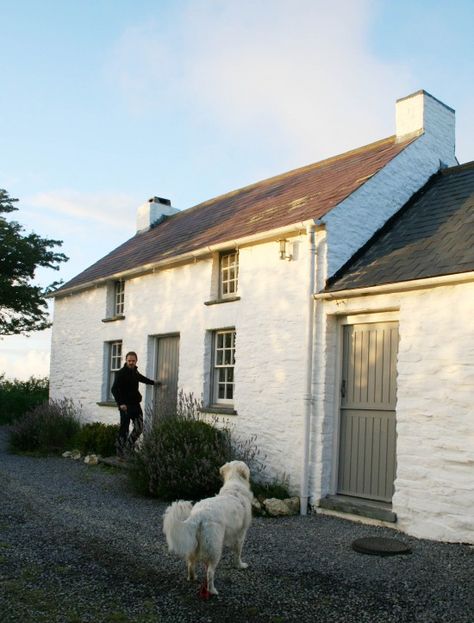 The Welsh House | Traditional welsh cottage | Holiday cottage Welsh Cottage, House Traditional, Cottage Exteriors, Stone Cottages, Cottage Door, Irish Cottage, Cottage Renovation, Cottage Exterior, Dream Cottage