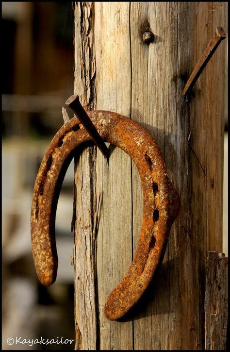 Cowboy Photography, Abstract Painting Acrylic Modern, Abstract Art Projects, Western Photography, Horse Treats, Horse Shoes, Rustic Doors, Rusty Metal, Down On The Farm