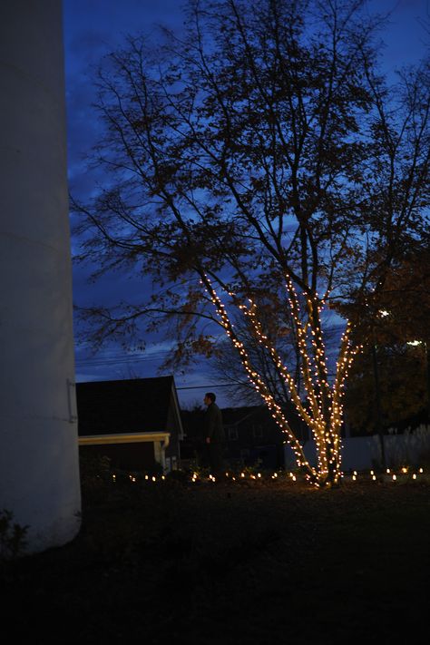 Part of our lights display for our outdoor night time wedding ceremony. Night Time Wedding Ceremony, Night Time Wedding, Night Wedding, Wedding Night, Light Display, Under The Stars, Wedding Pictures, Night Time, Wedding Photo