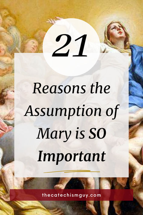 21 Reasons Why the Assumption of Mary is SO Important Assumption Of The Blessed Virgin Mary, The Assumption Of Mary, Jfk Assasination, Happy Feast, Assumption Of Mary, Catholic Beliefs, Blessed Mary, The Blessed Virgin Mary, Spiritual Knowledge