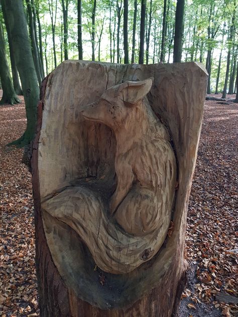 Carved fox in a tree stump Fantastic Fox, Something Wild, Ancient Languages, Everyday People, Tree Carving, Chainsaw Carving, Tree Stump, Walk In The Woods, Hidden Treasures