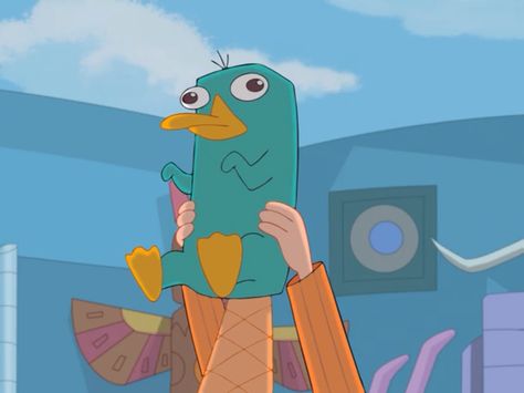 Perry The Platypus Funny, Perry The Platypus Pfp, Perry The Platypus Wallpapers, Parry The Platypus, Cartoon Screencaps, Phineas And Ferb Perry, Ra Themes, Bingo Funny, Perry The Platypus